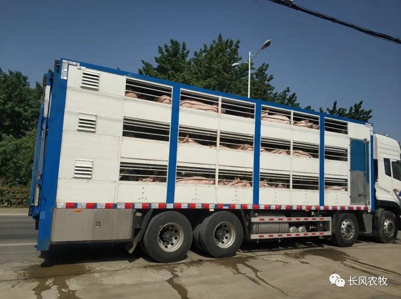 1591079248162592.jpg 222.jpg