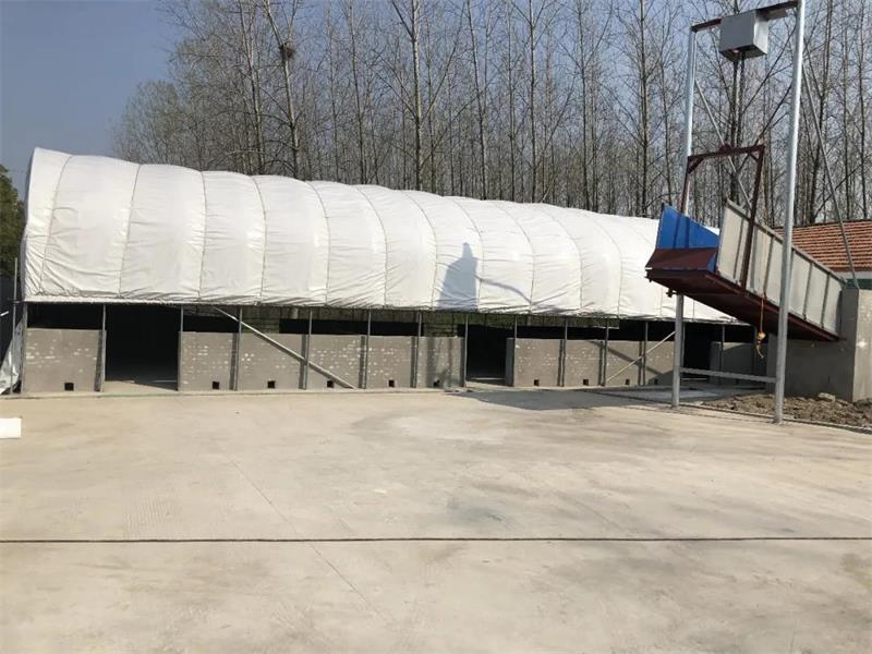 1609386064362733.jpg 55.jpg