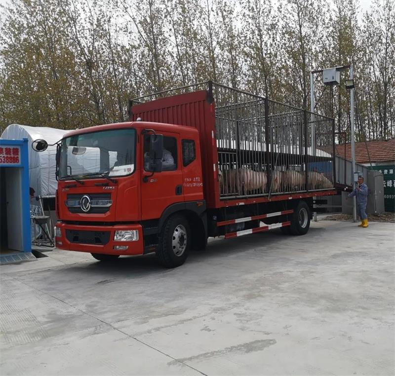 1609386122340324.jpg 77.jpg