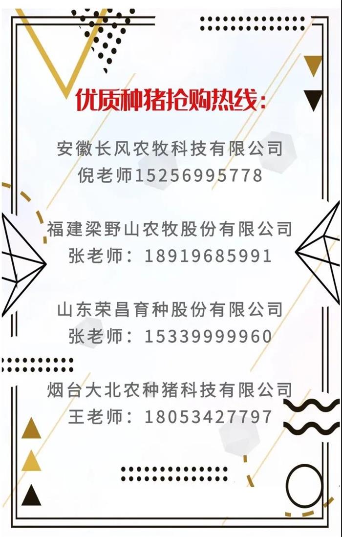 1609386262998763.jpg 100.jpg