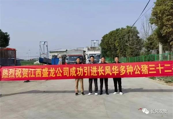 1697608399349075.jpg 101.jpg