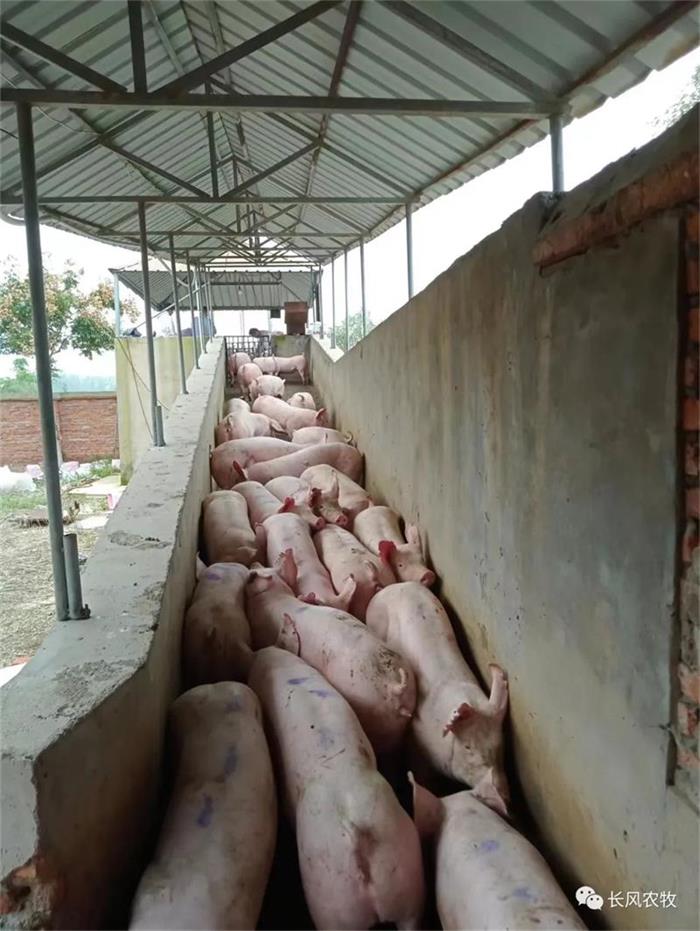 1697608829610282.jpg 222.jpg