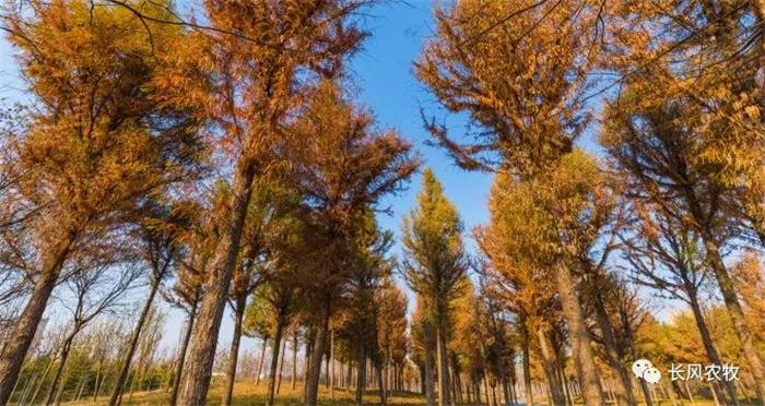 1697608879849241.jpg 333.jpg