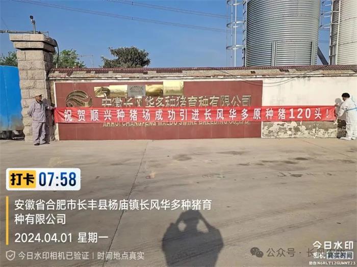 1713149414173971.jpg 11.jpg