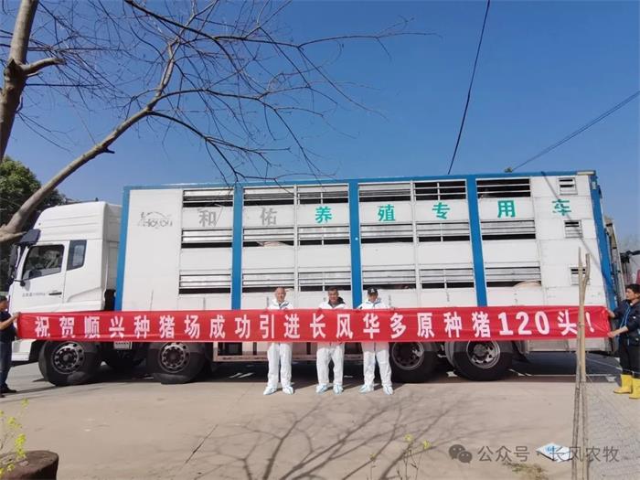 1713149441301785.jpg 22.jpg