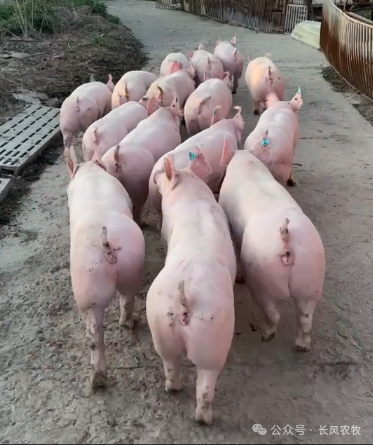 1713149474314341.png 44.png